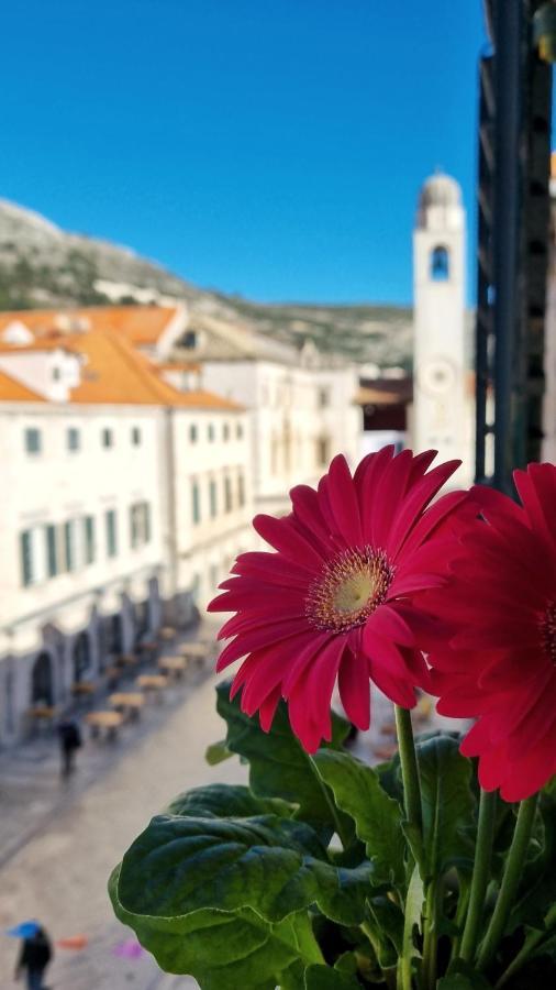 Apartment Stradun In The Heart Of Old City Ragusa Esterno foto