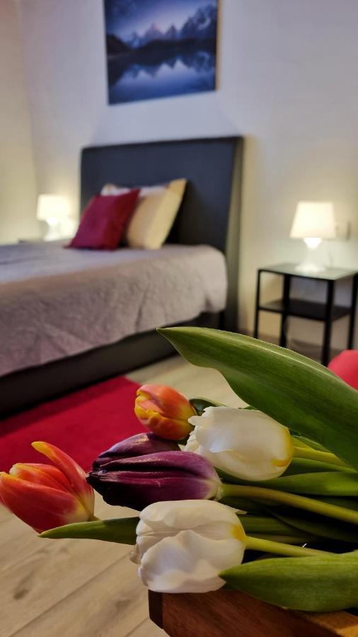 Apartment Stradun In The Heart Of Old City Ragusa Esterno foto